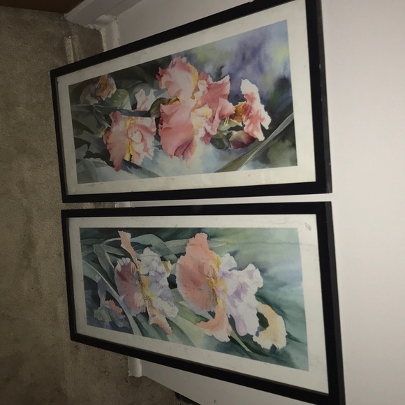 Flower pictures - Picture 1 of 1